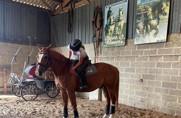 activité avec un cheval