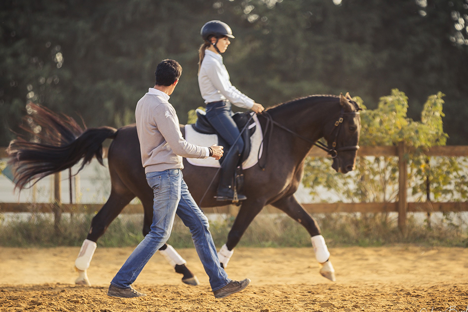 dressage cheval