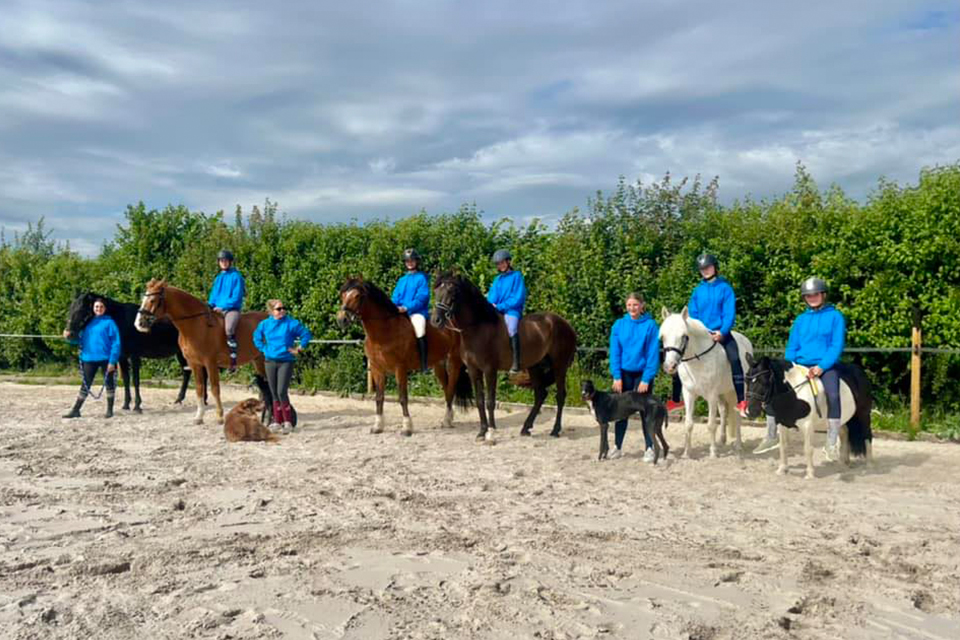 groupe de cheval pour l'équithérapie